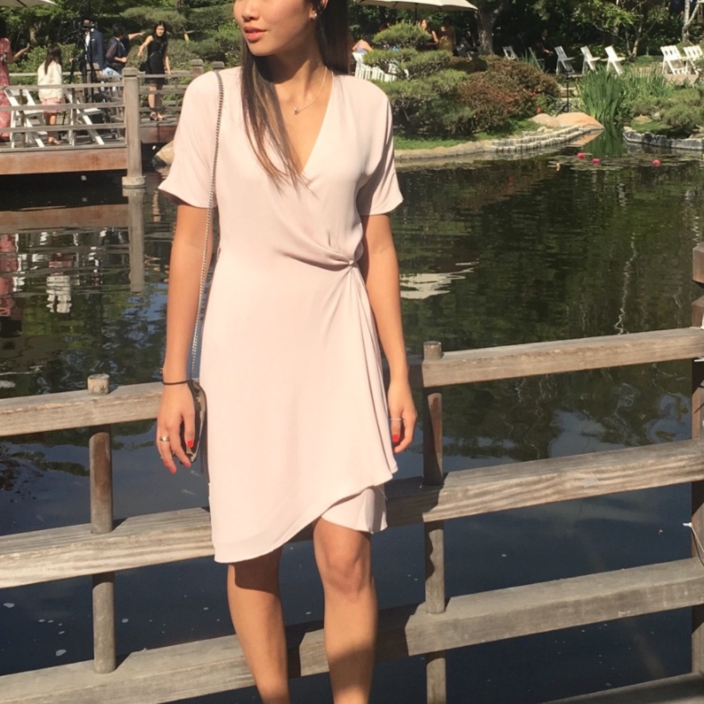 Aritzia Wallace Dress